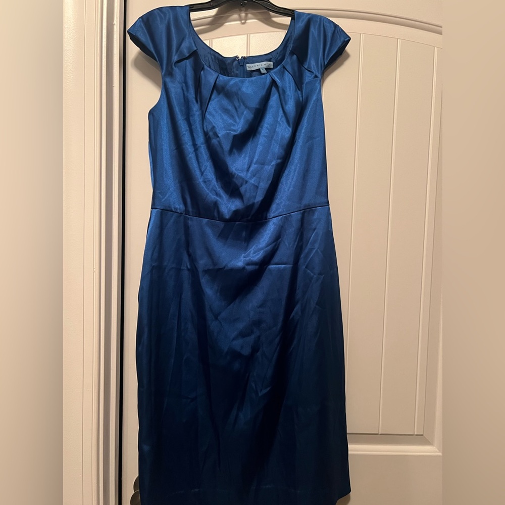 Antonio Melani dress